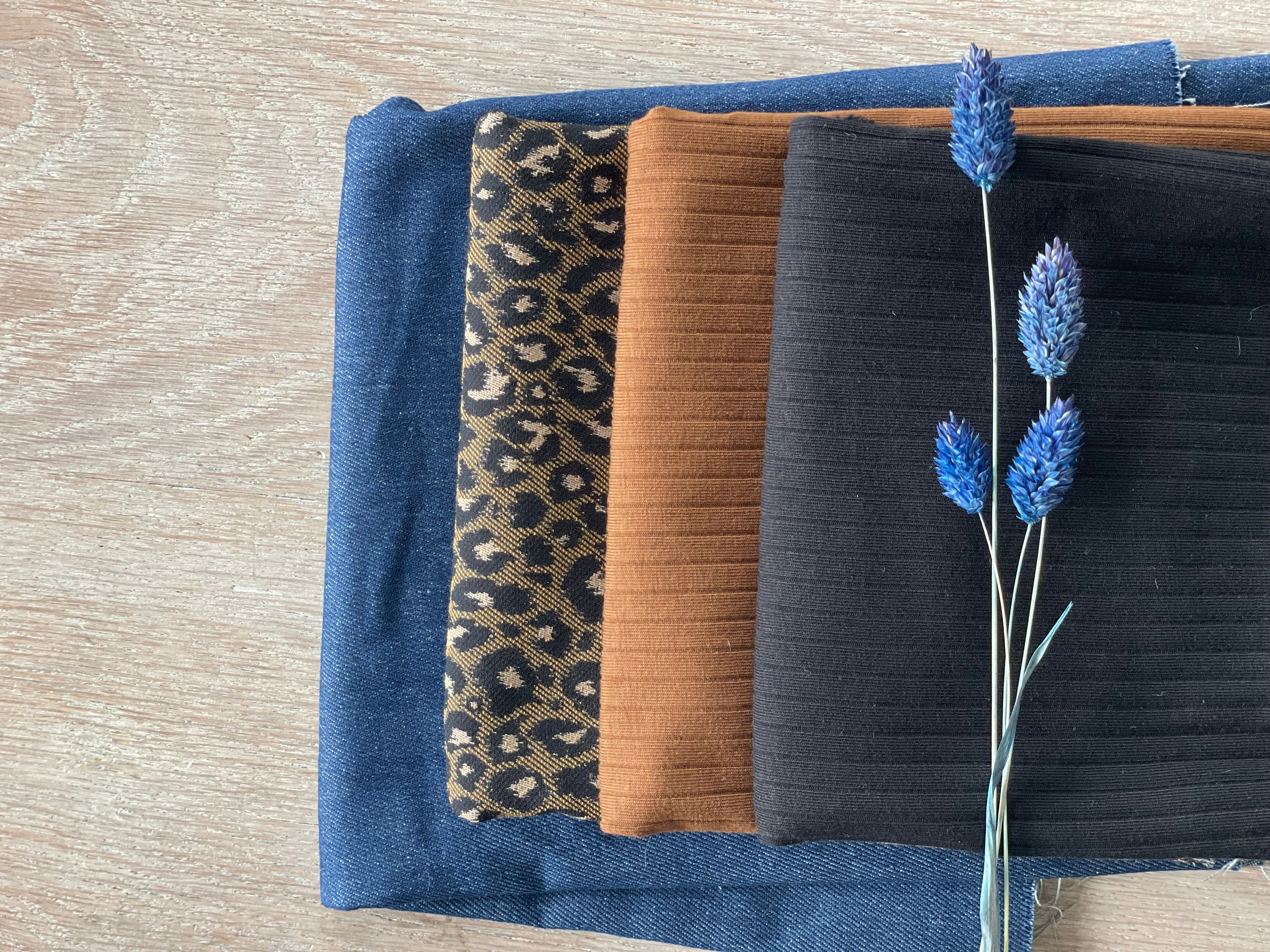 Jean Dennys - Marine