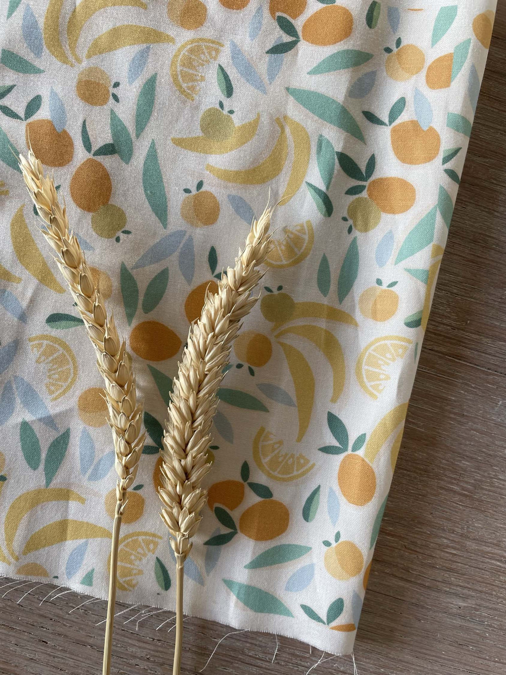 Organic cotton canvas - Tom print - Multico