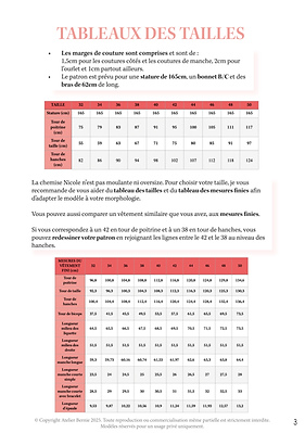 Pouch Pattern - Nicole Shirt - Atelier Bernie